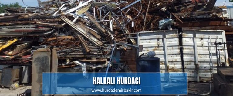 Halkalı Hurdacı